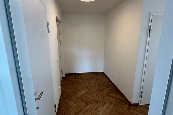 V3
